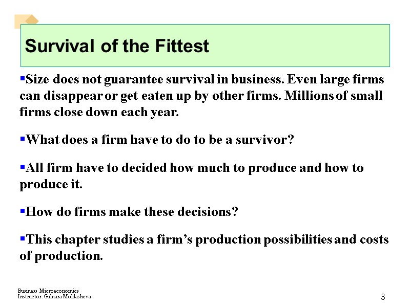 3 Survival of the Fittest Size does not guarantee survival in business. Even large